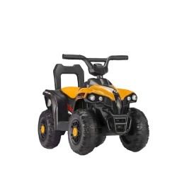 Quad électrique