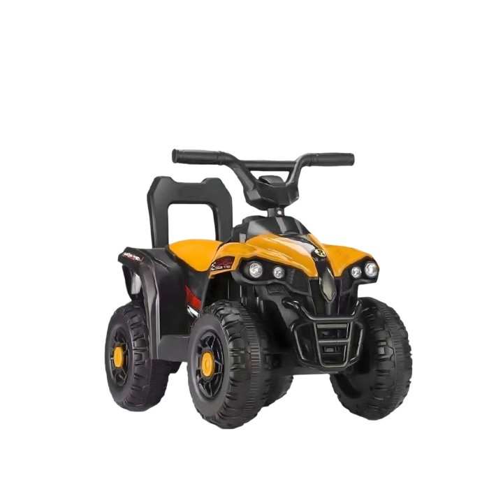 Quad électrique