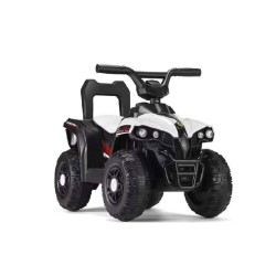 Quad électrique