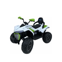 Quad électrique