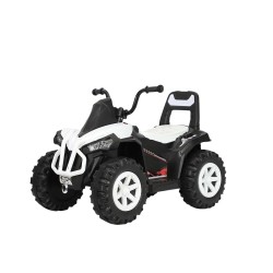 Quad électrique